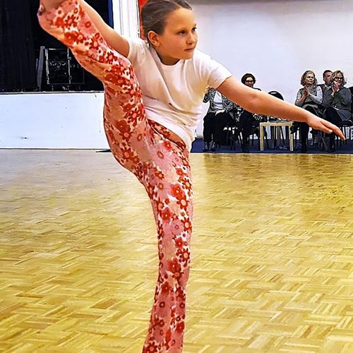 Niedersachsenpokal 2025 - Gäste, Shows, Ehrungen