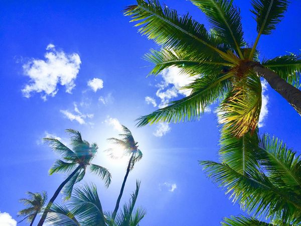 Sommerpause