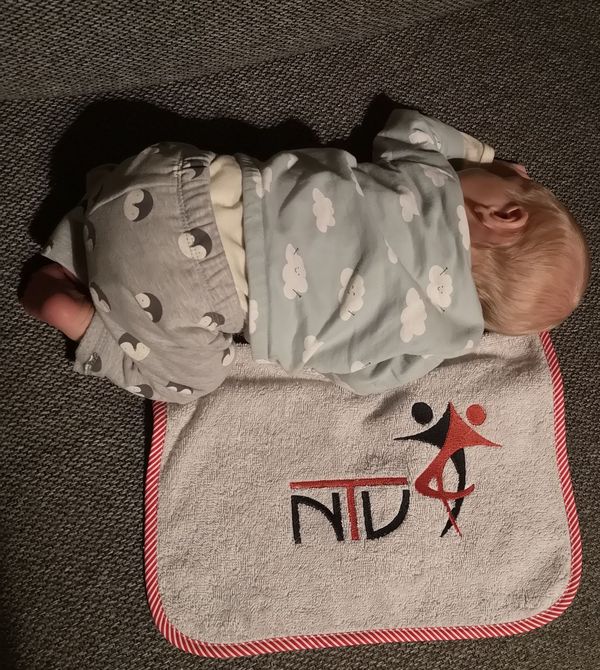 Nachwuchs im NTV - Henri ist da!